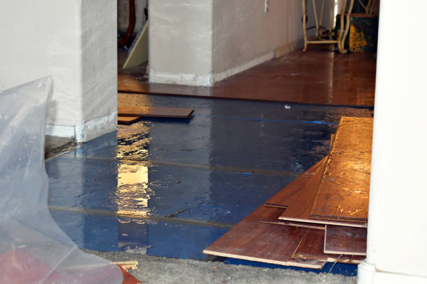 Professional Sewage Cleanup technician working in Utica, MI